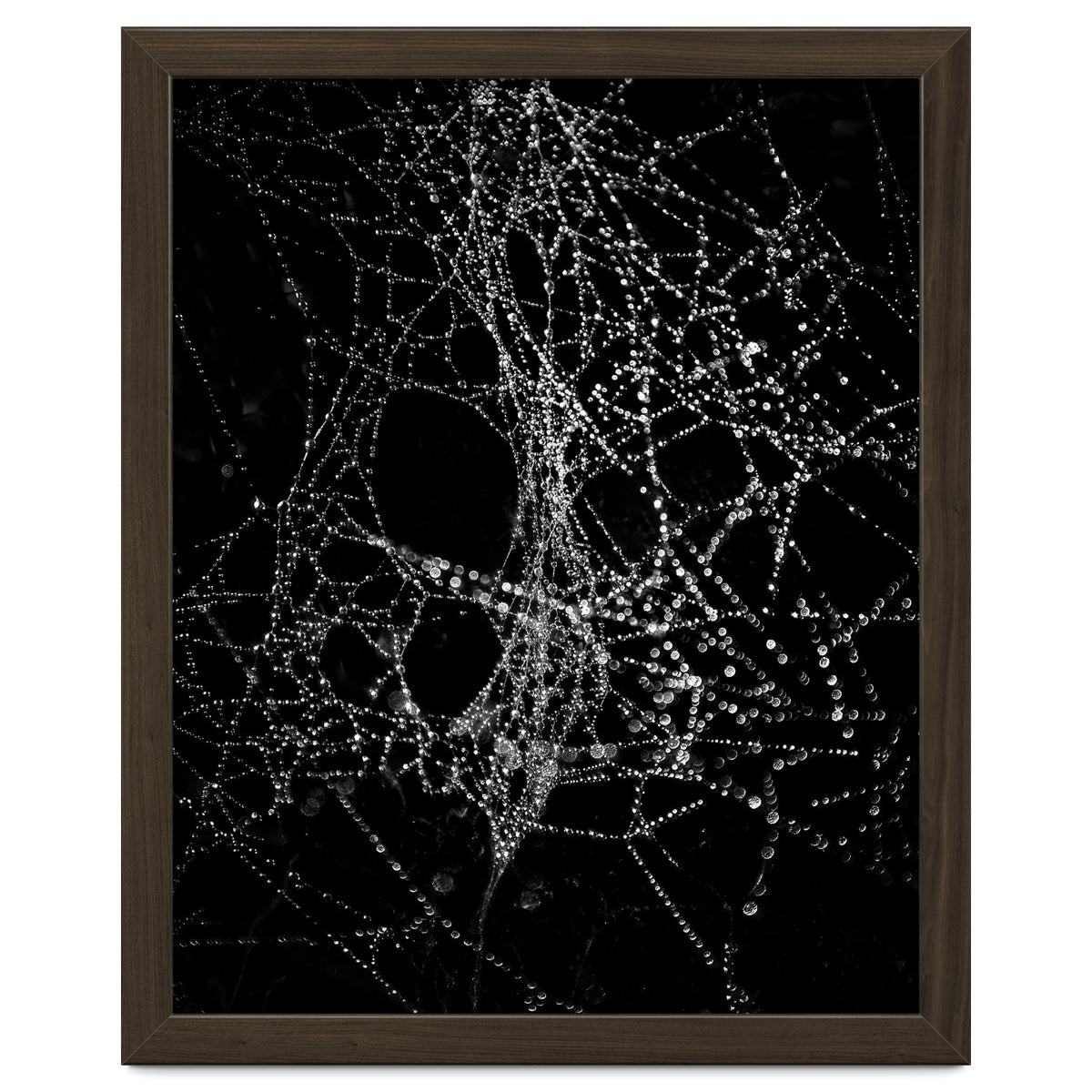 Spiderweb No 4