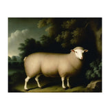 Sheep Classical Oil Painting (Print Only) thumbnail