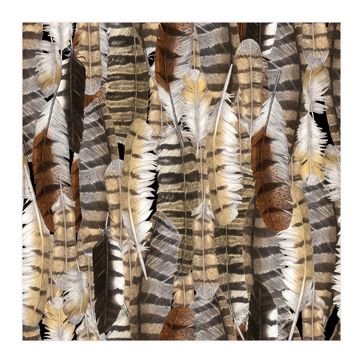 Owl Feathers (Print Only)