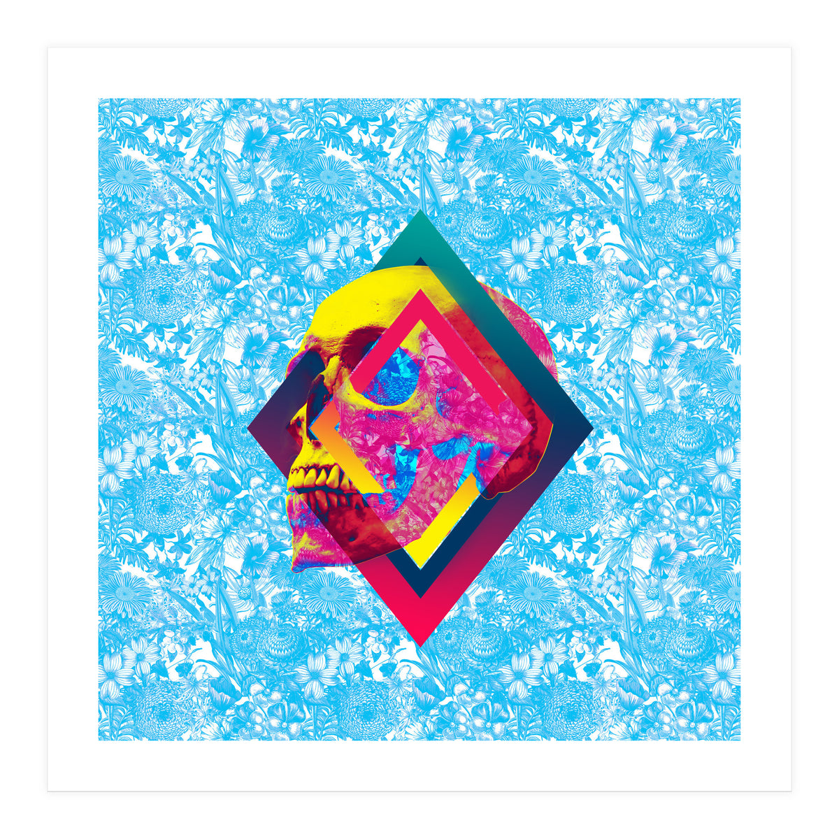 Lifeful Skull  (Print Only)