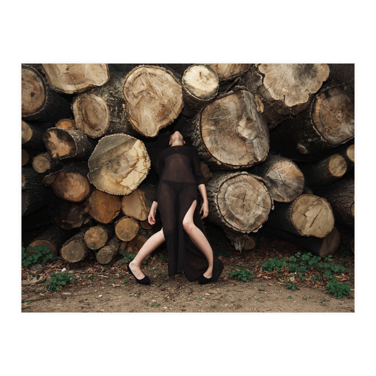 Slow Dancing Society (Print Only)