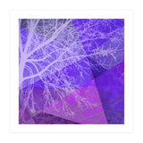 P19-D2 Trees and Triangles (Print Only) thumbnail
