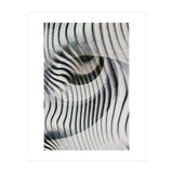 White Eyes  (Print Only) thumbnail