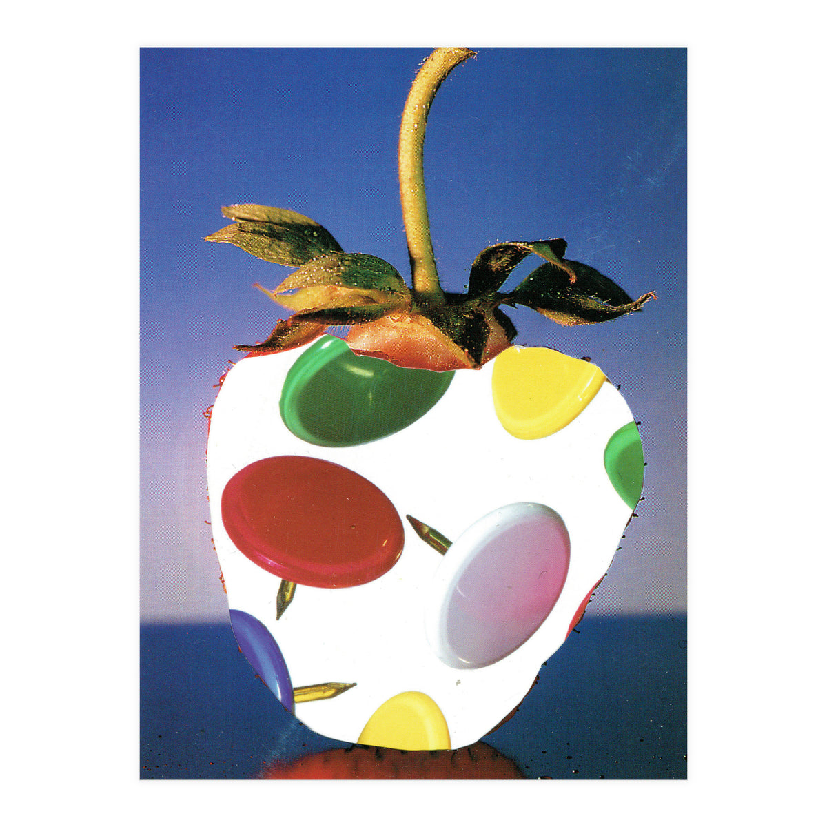 Stachelbeere (Print Only)