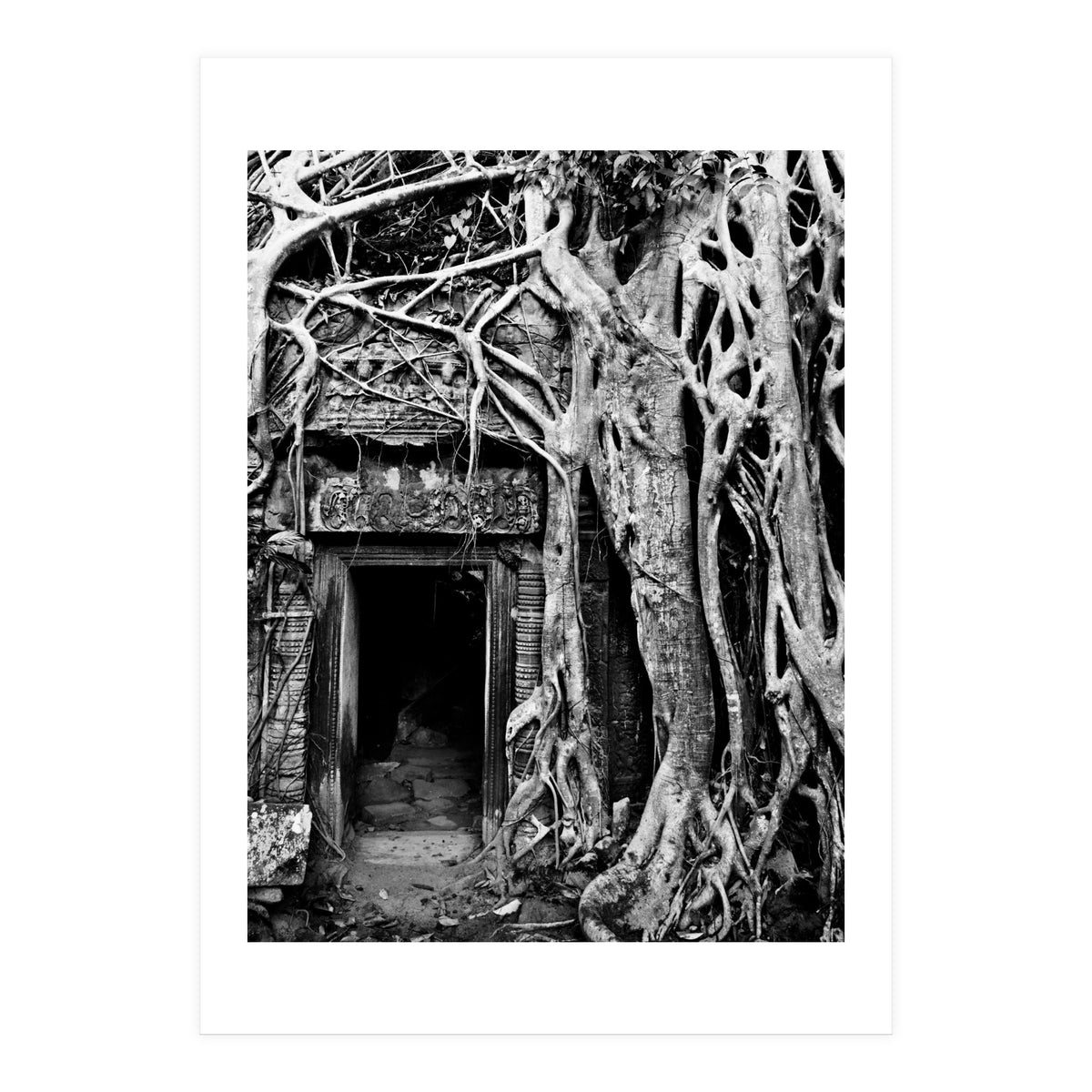 Ta Prohm Temple, Cambodia (Print Only)