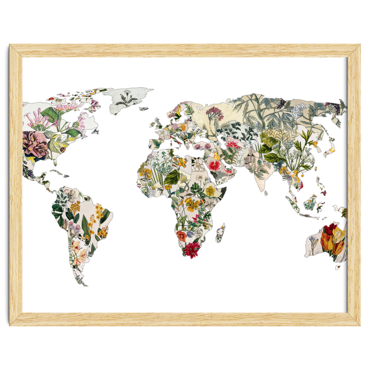 Vintage Botanical Map