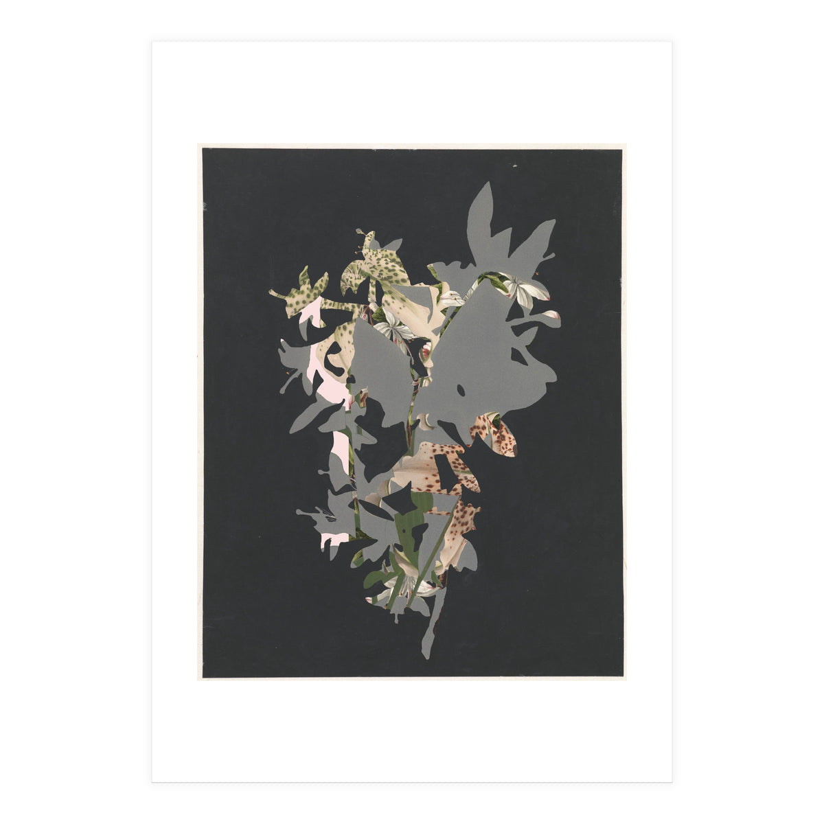 The First Plant · Black (Print Only)