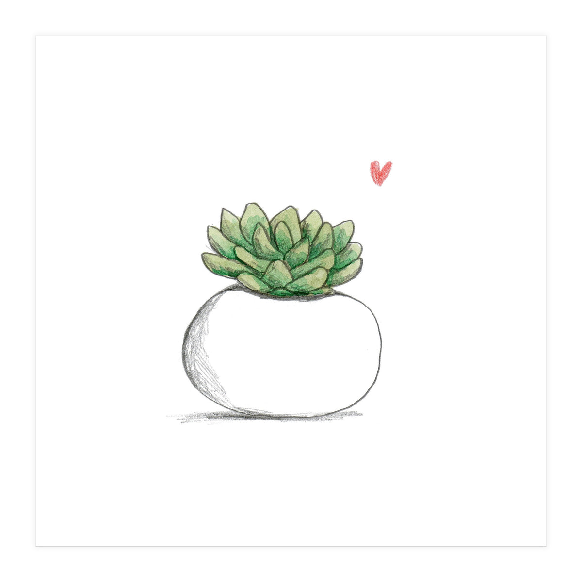 Succulent in Small White Planter (Print Only)