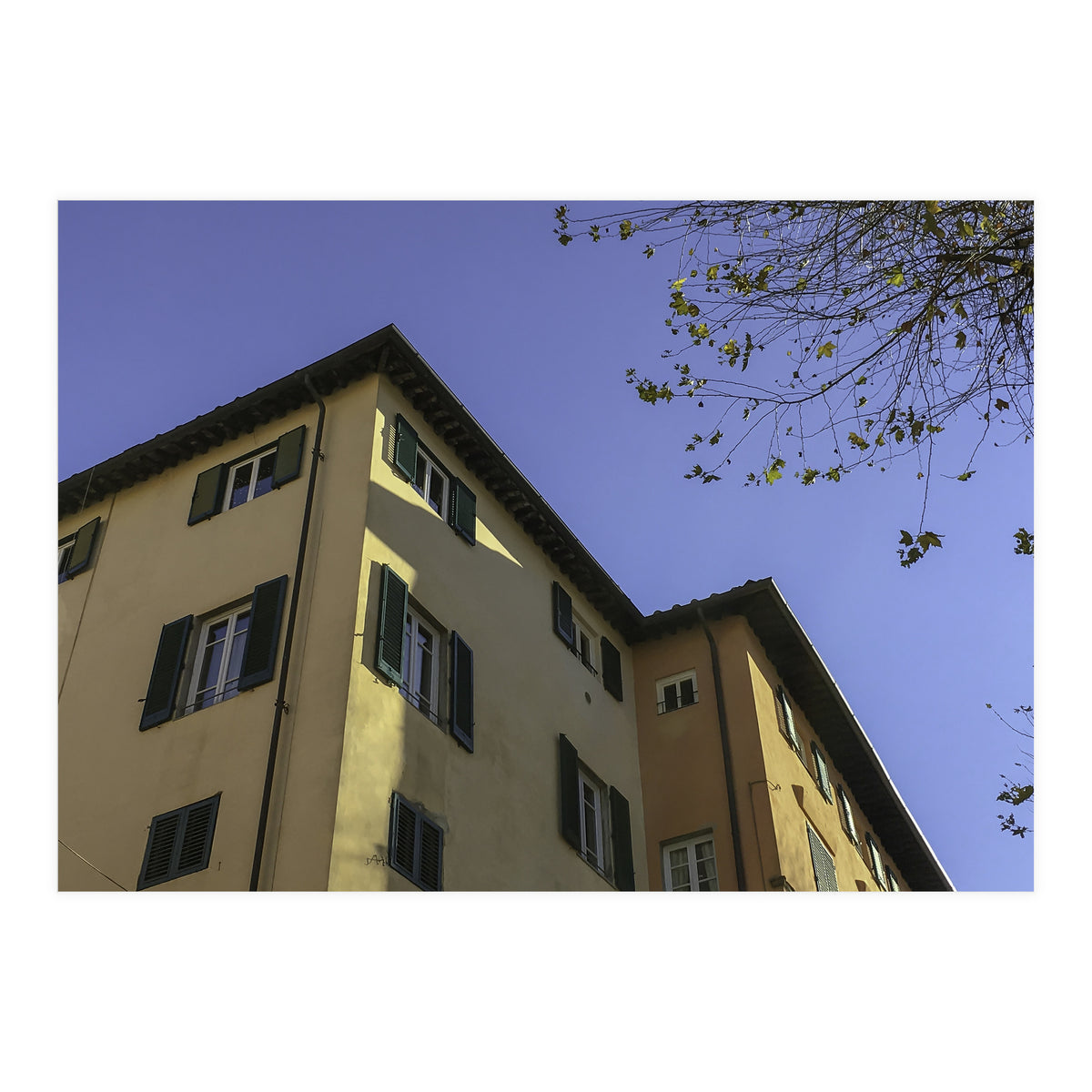 Windows From Tuscany 2 (Print Only)