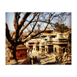 Pashupati Nath Ji (Print Only) thumbnail