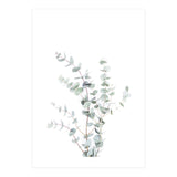 Eucalyptus Branch (Print Only) thumbnail