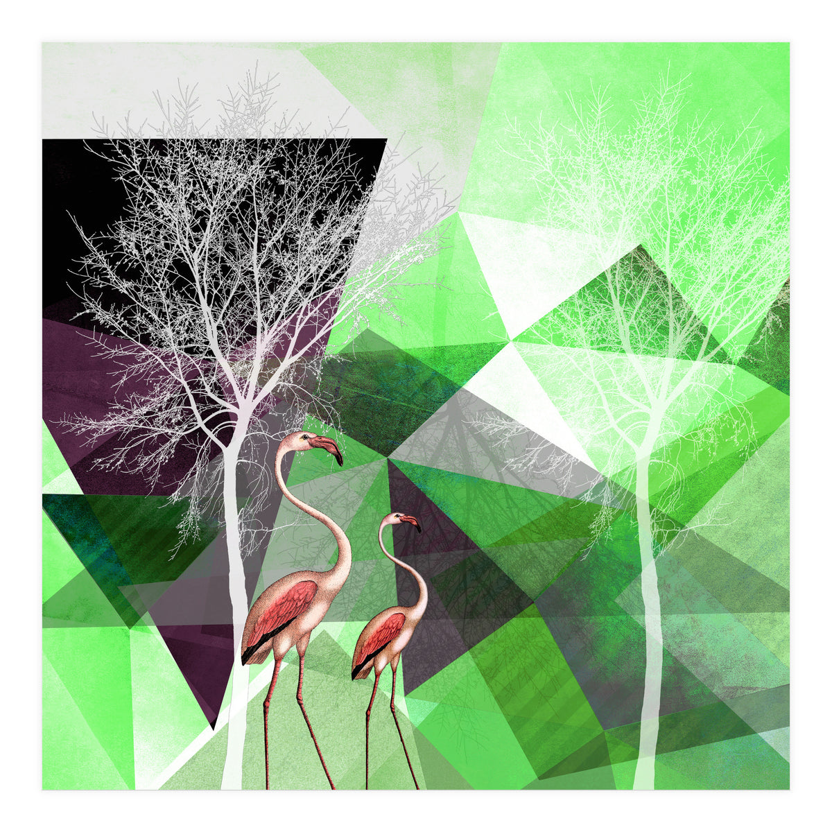 FLAMINGOS P21  (Print Only)