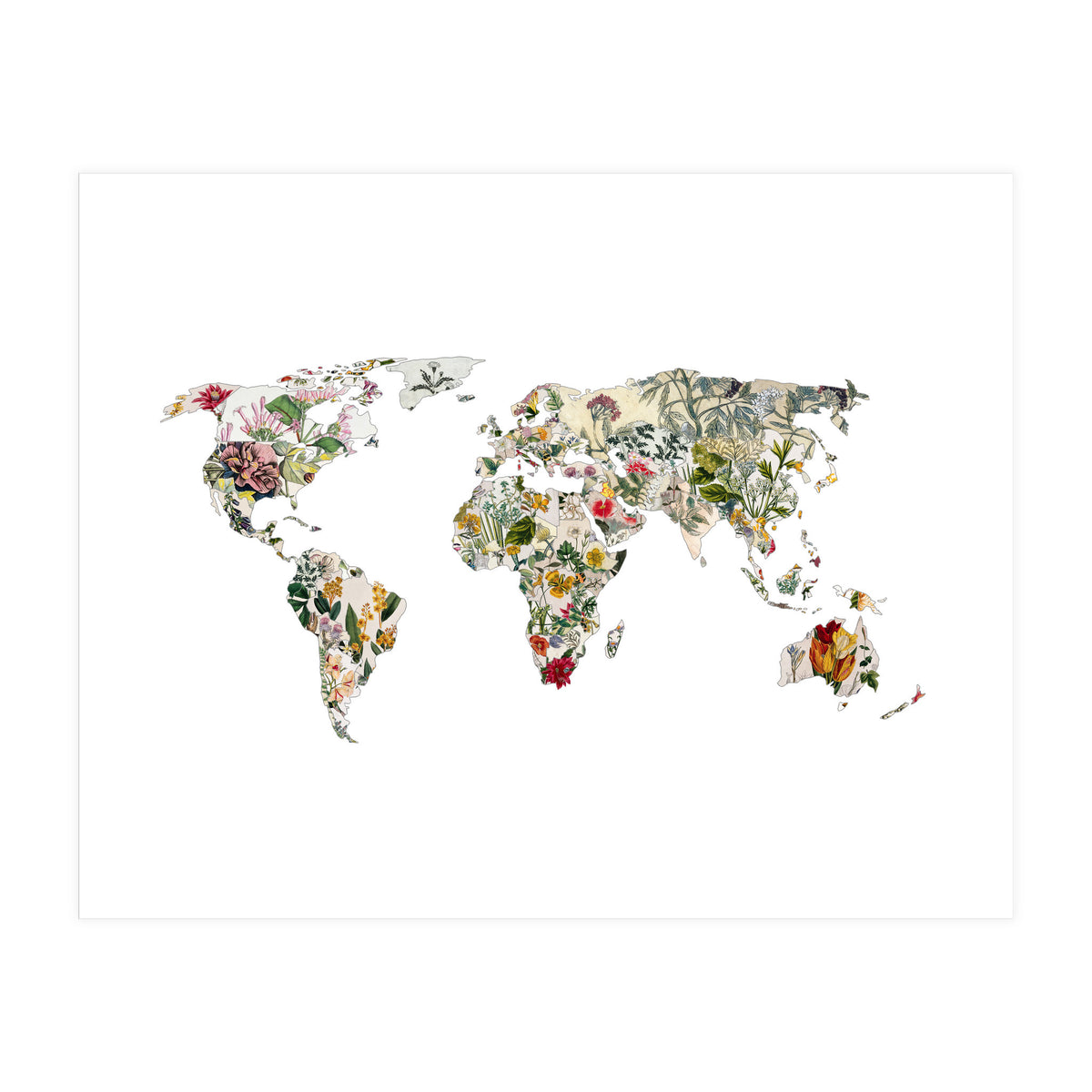 Vintage Botanical Map (Print Only)