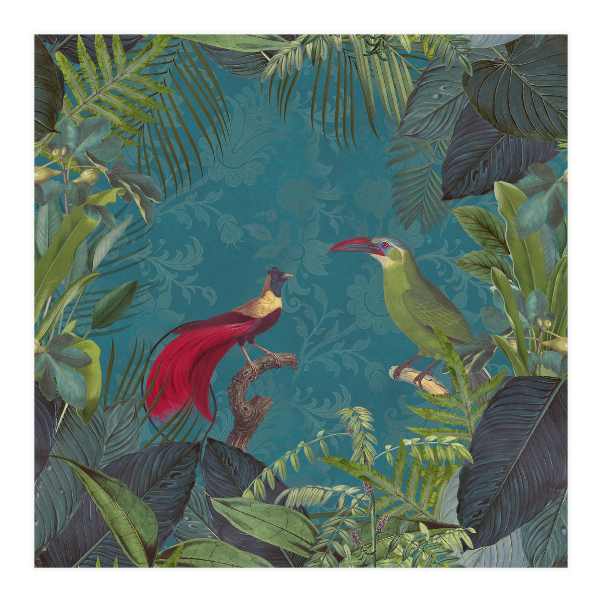 Birds Of Paradise (Print Only)
