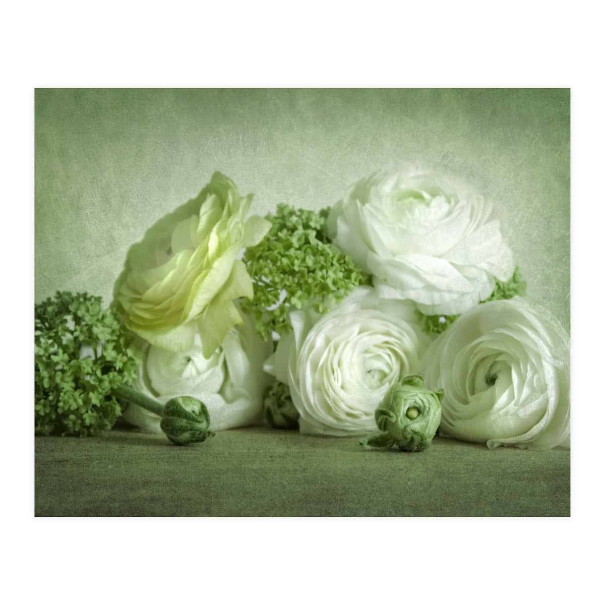 Waiting For Spring  (Print Only)