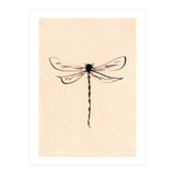 Dragonfly (Print Only) thumbnail