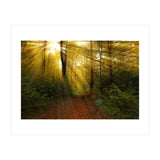 Nature (Print Only) thumbnail