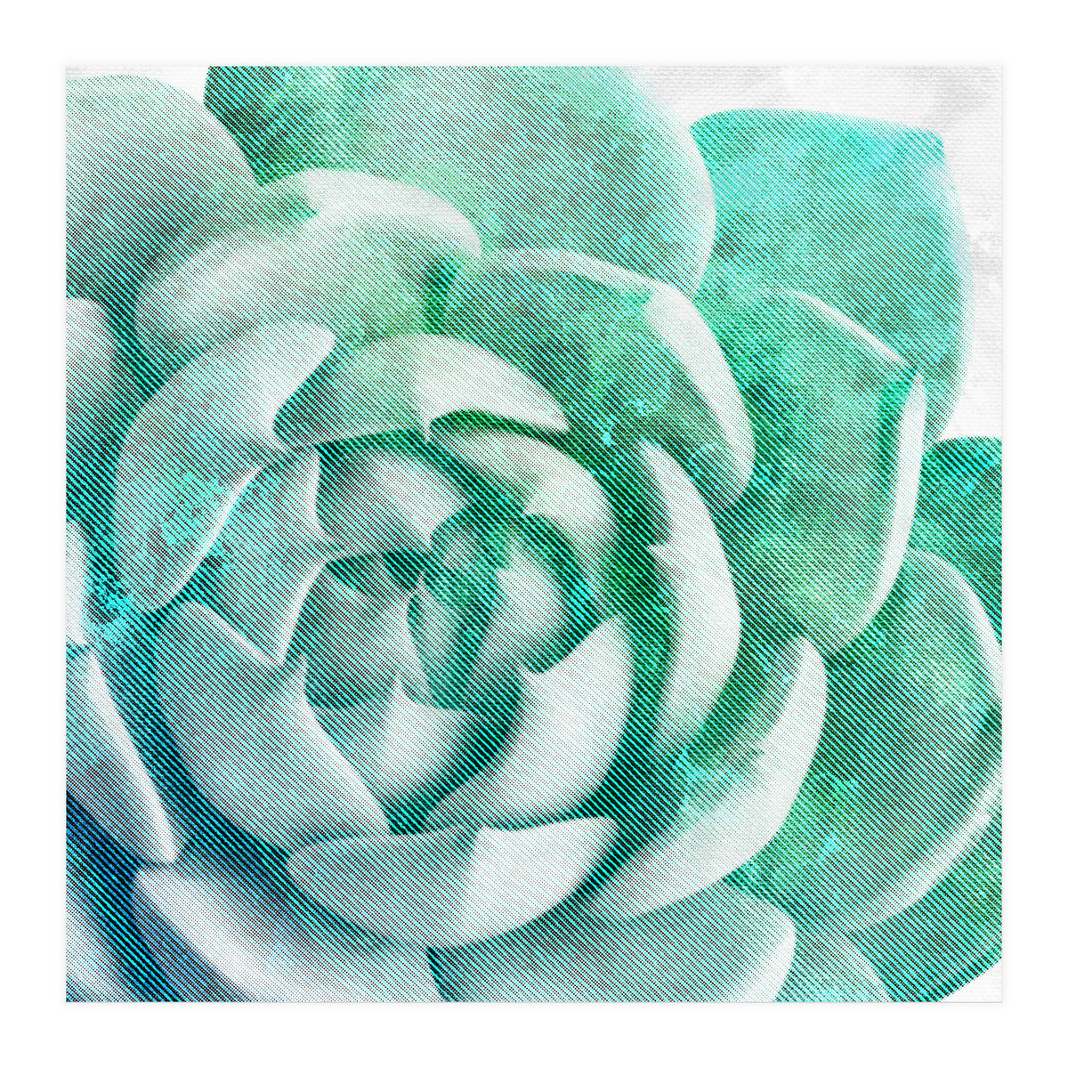 Rough Beauty 1 (Print Only)