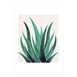 Desert Agave (Print Only) thumbnail