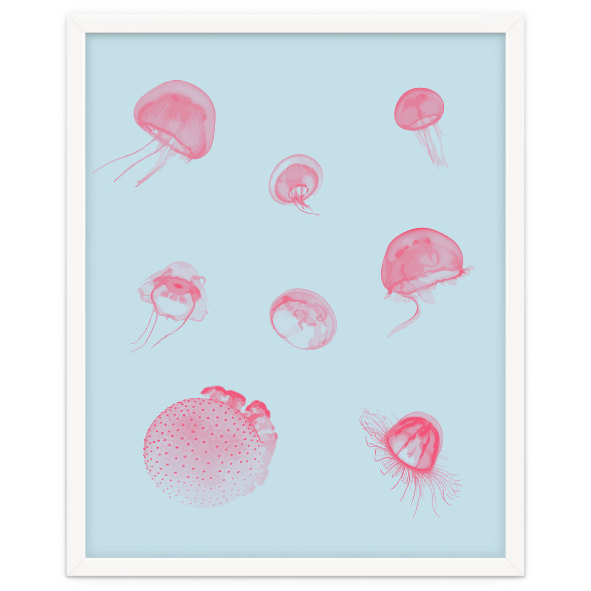 Jellyfish