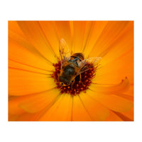 Bee Kind (Print Only)