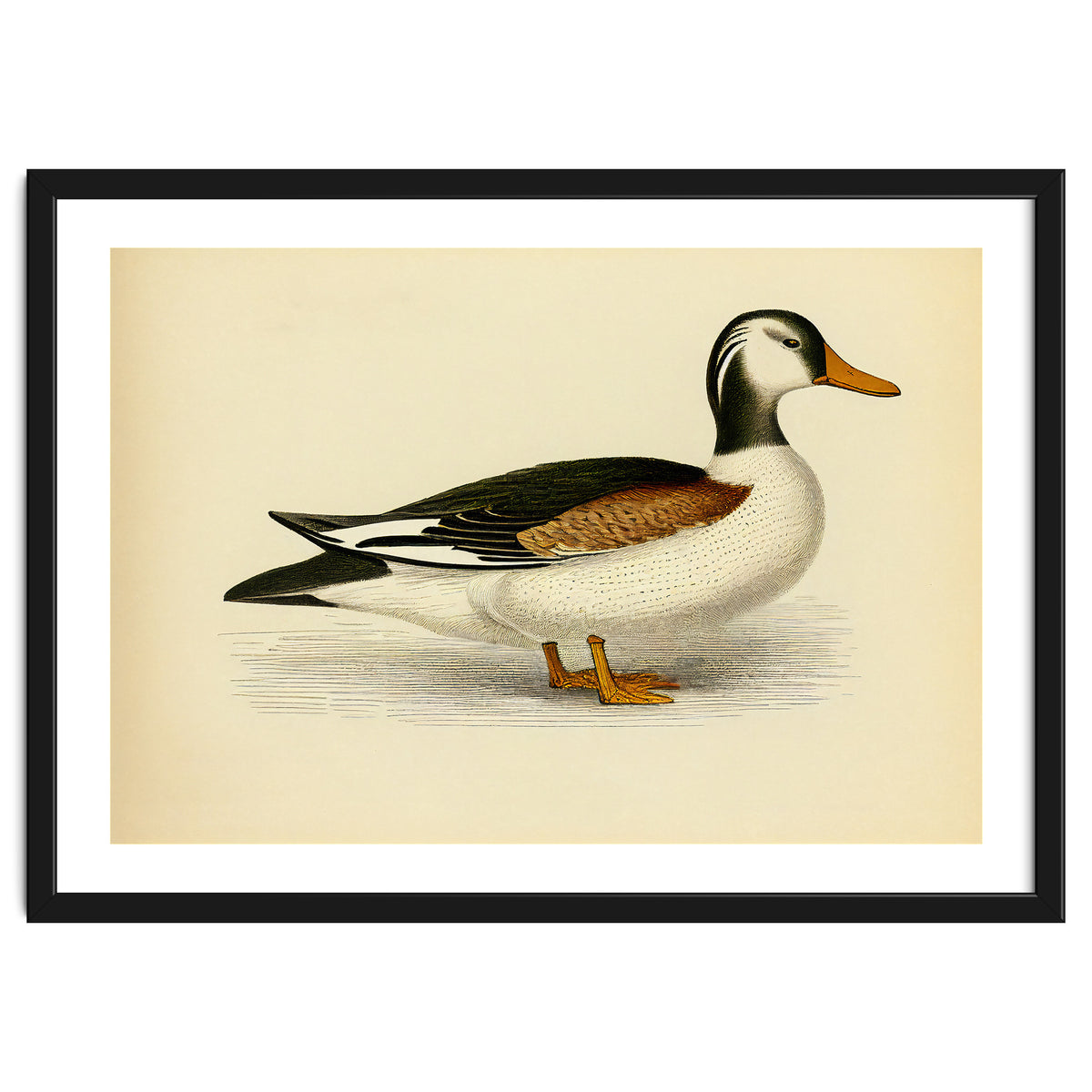 Vintage Duck Painting