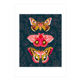 Lepidoptery Study No. 4 (Print Only) thumbnail
