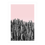 Cactus B&W & Sunset (Print Only) thumbnail