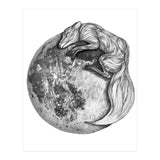 Moon Fox (Print Only) thumbnail