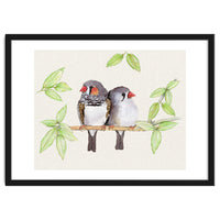 Sweet couple of zebra finches
