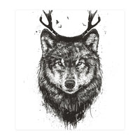 Deer Wolf Bw (Print Only)