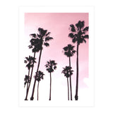 Palms & Sunset (Print Only) thumbnail