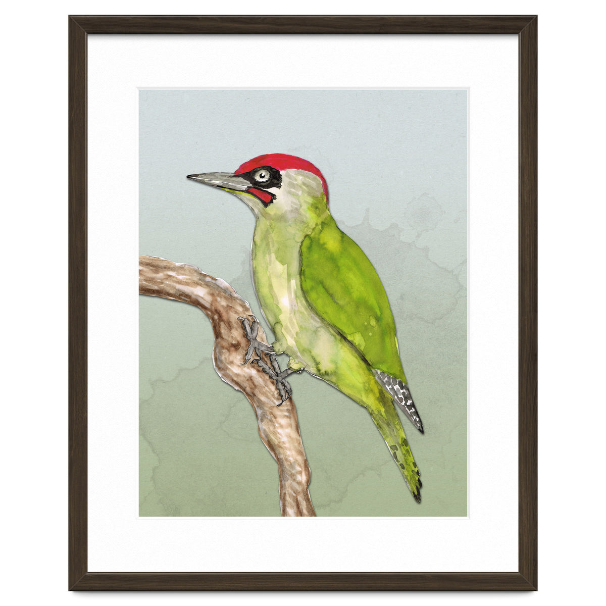 Green woodpecker