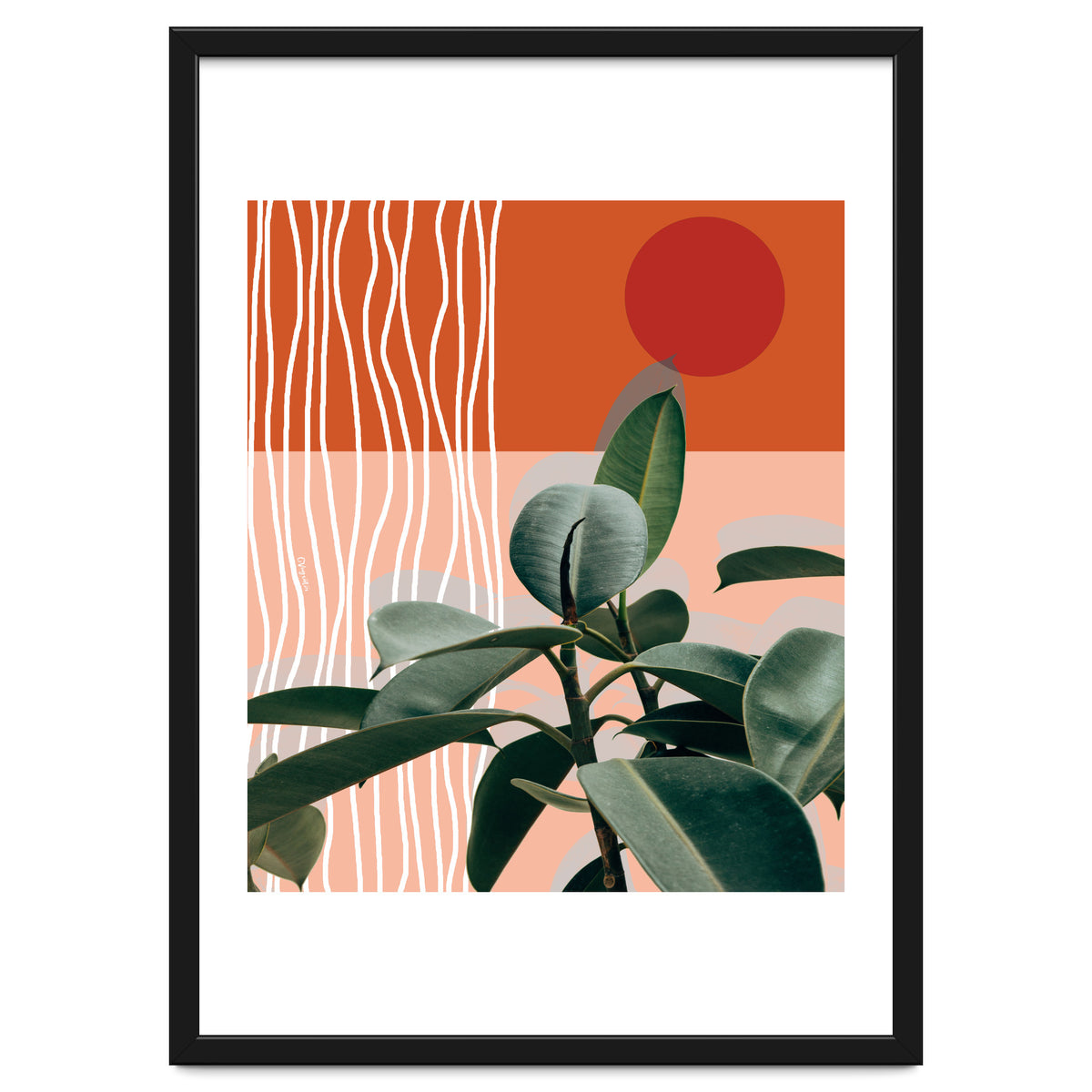 Times of a Growing Plant