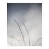 Forgotten Memories of summer #18 (Print Only) thumbnail