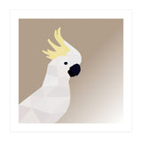 Cockatoo Bird Low Poly Art (Print Only) thumbnail