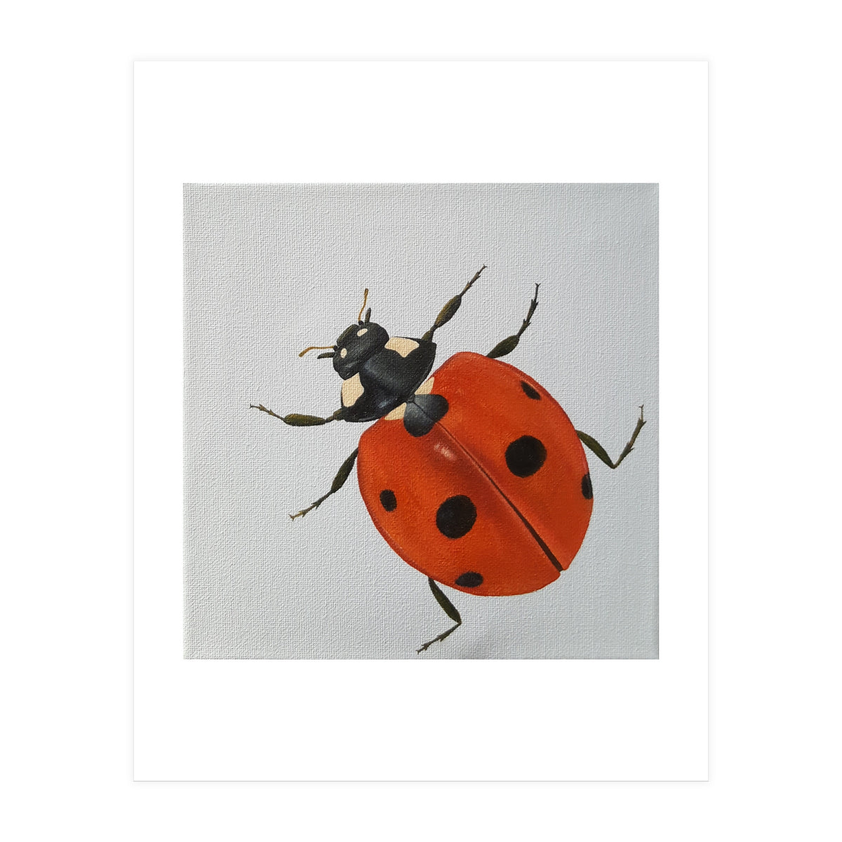 Ladybird  (Print Only)