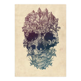 Skull Floral  (Print Only) thumbnail