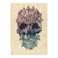 Skull Floral  (Print Only)