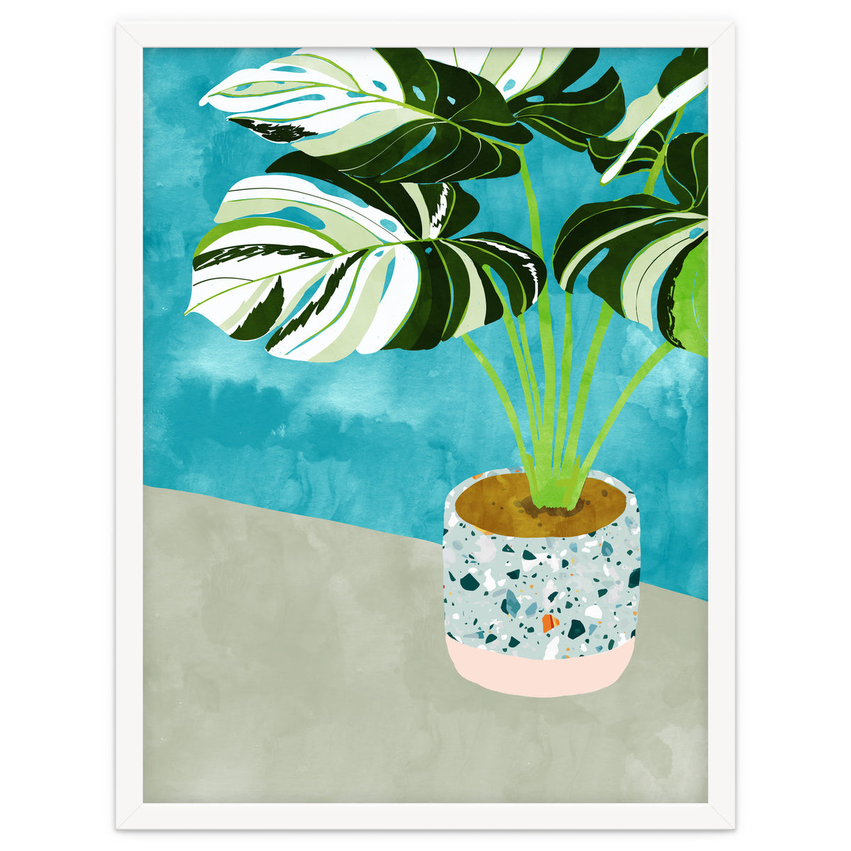 Variegated Monstera
