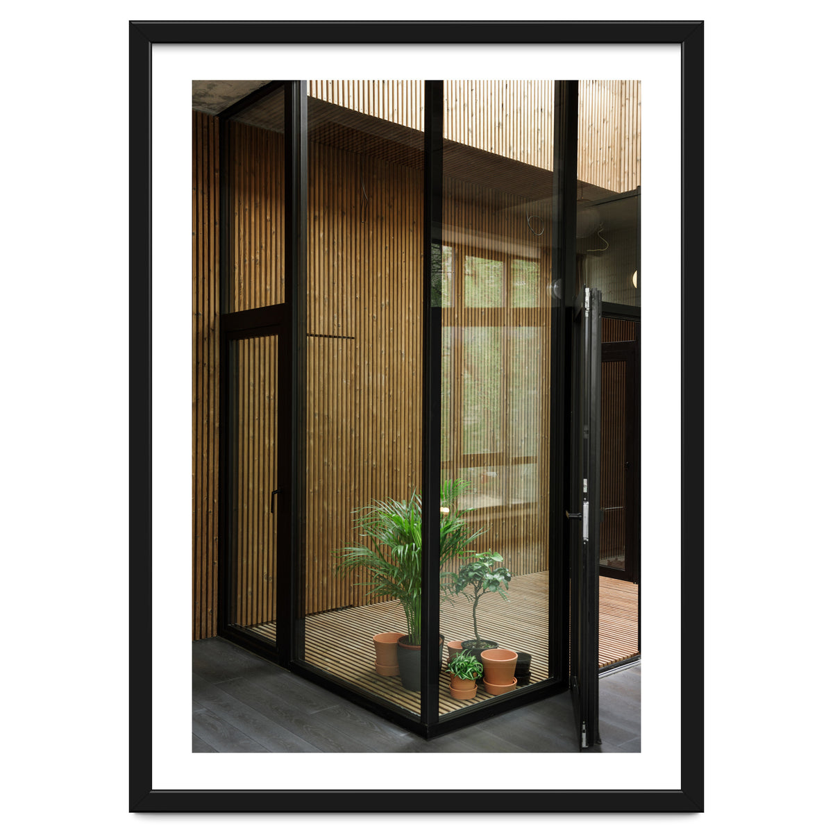 Public Place at my House