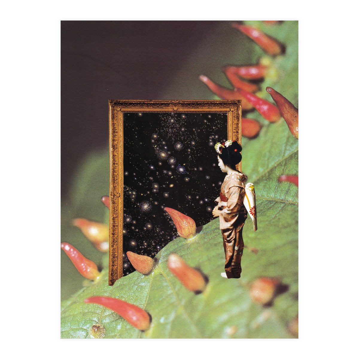 Cosmology (Print Only)