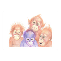 Orangutan Babies (Print Only)