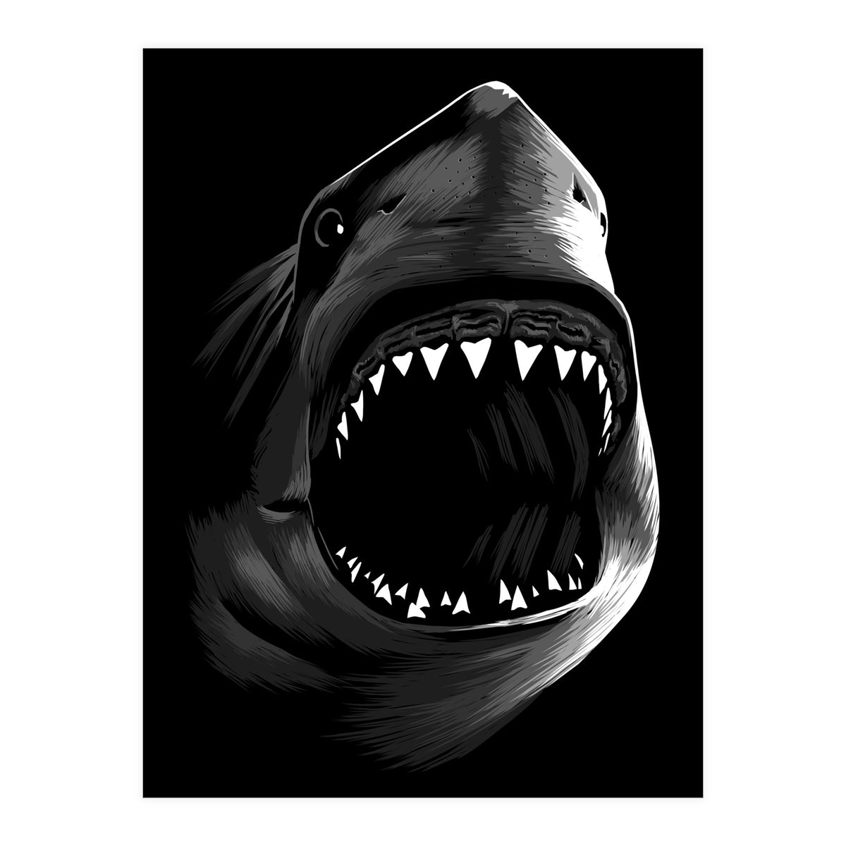 Megalodon (Print Only)