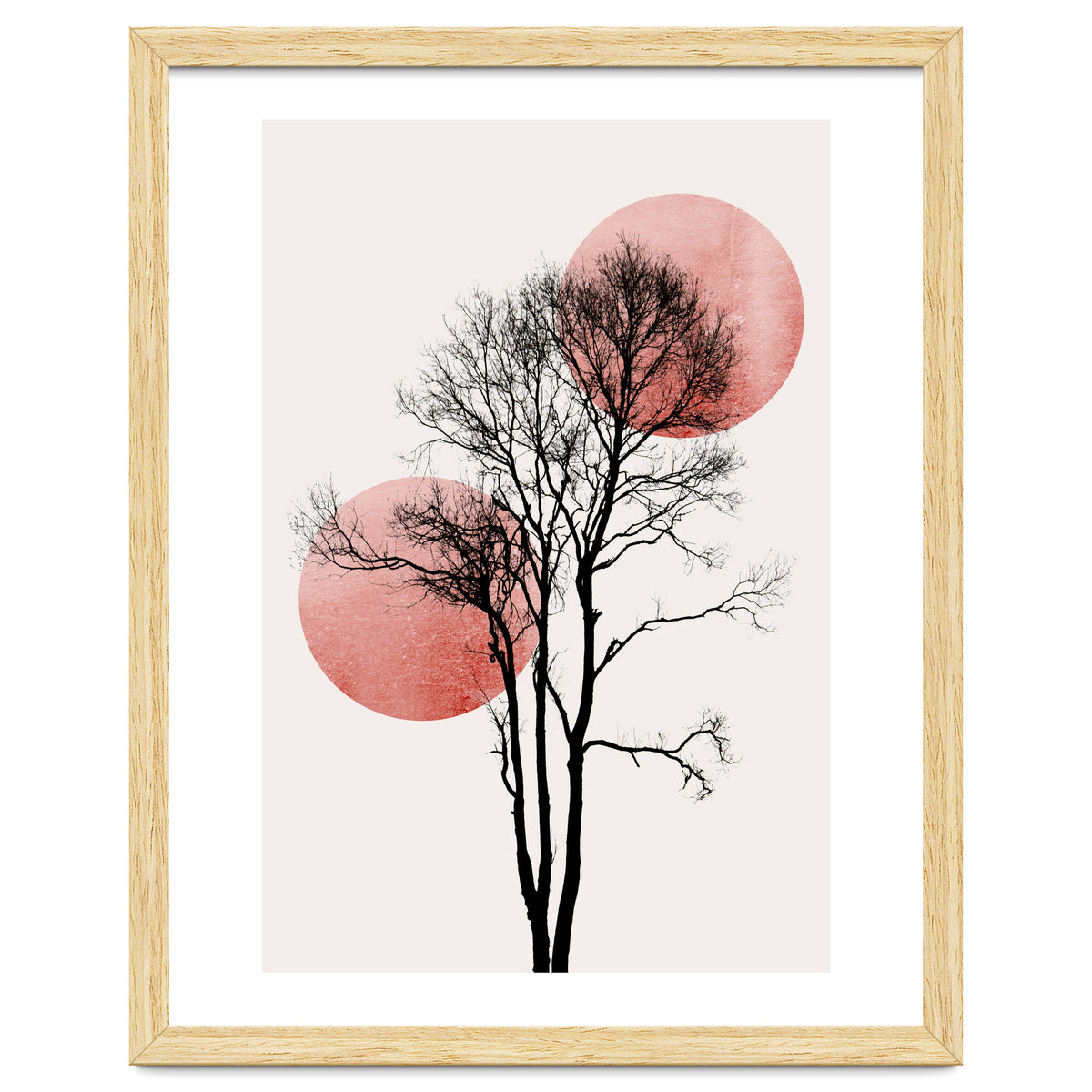 Sun And Moon Hiding Rosè