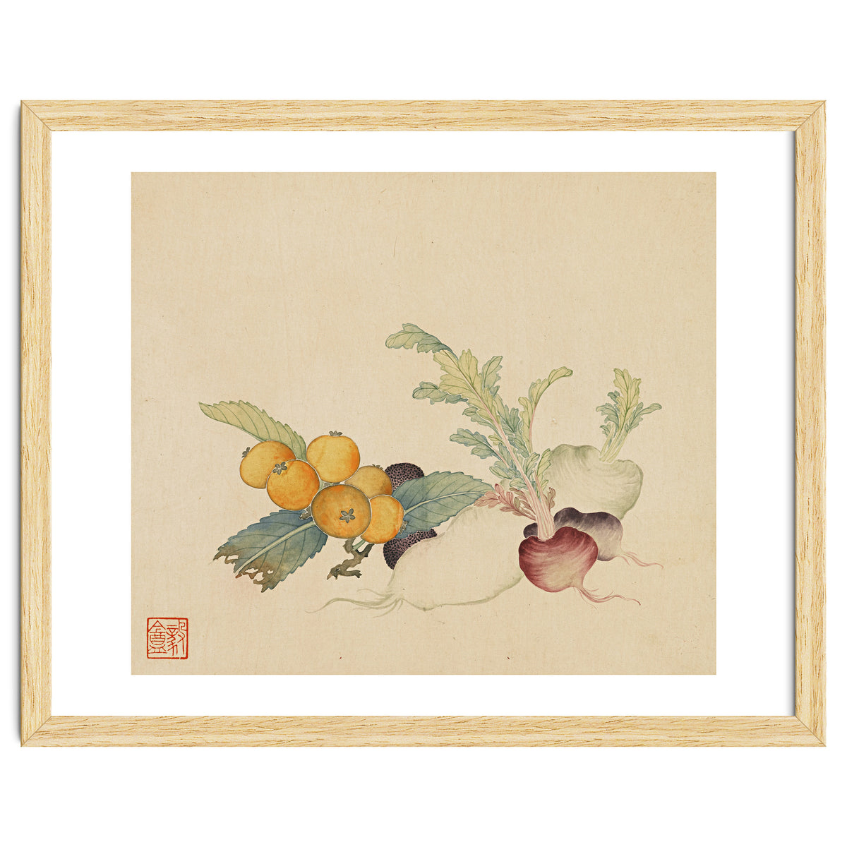 Wang Chengpi~flowers And Vegetables, Vegetables, Fruits, Loquat, White Radish, Carrot, Radish