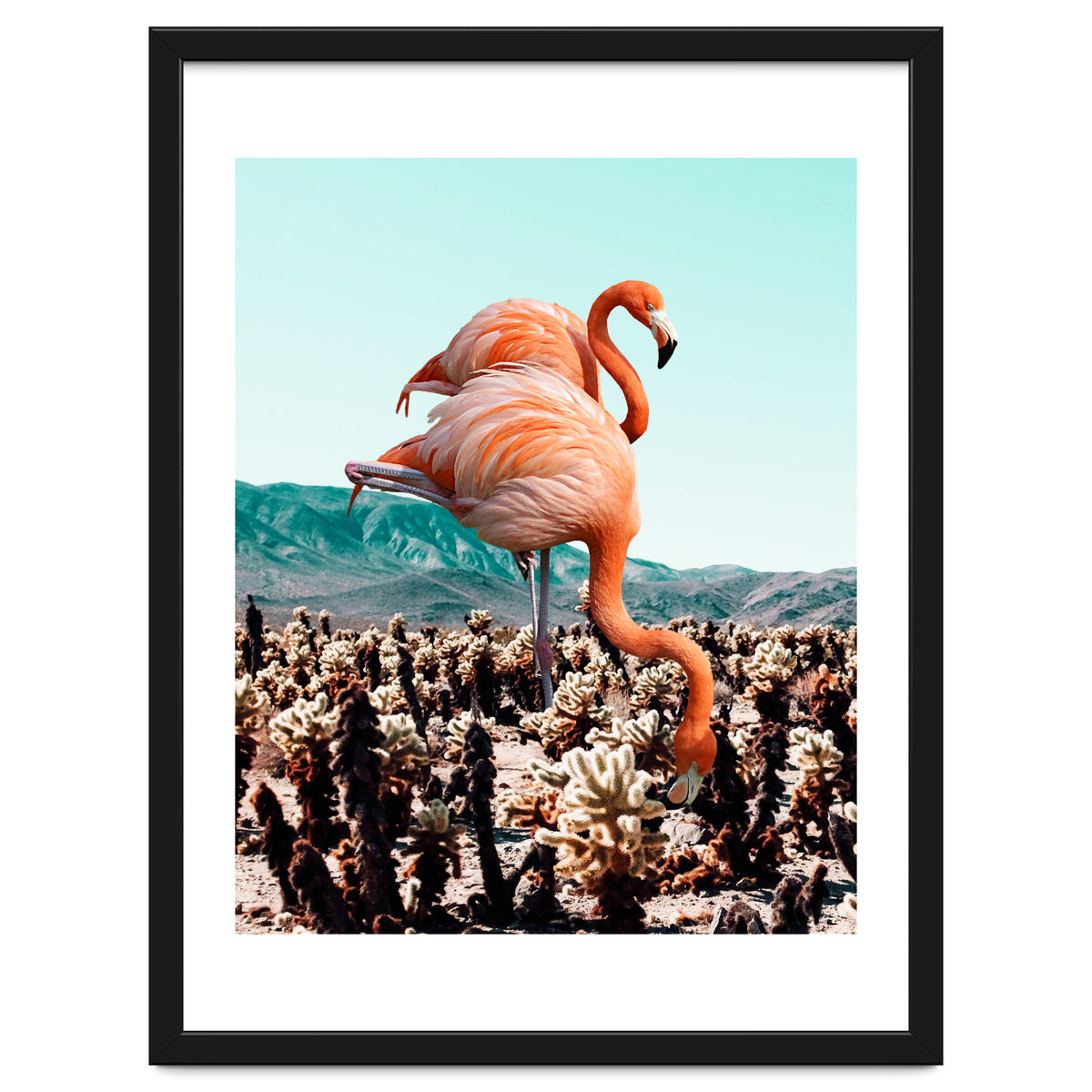 Flamingos In The Desert