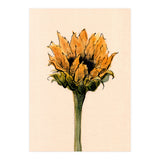 Sunflower (Print Only) thumbnail