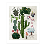 botanical (Print Only) thumbnail