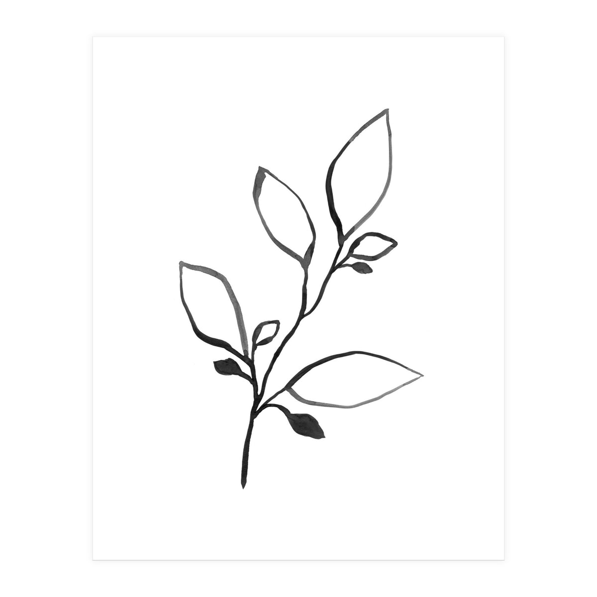 Ink Plant (Print Only)